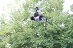 Salto 009 * 6000 x 4000 * (11.26MB)